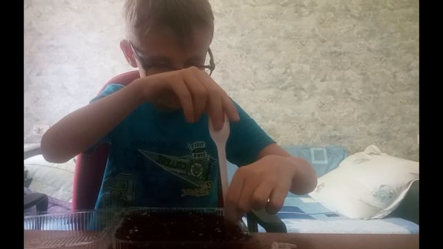 Как посадить  адениум