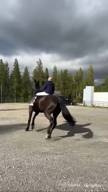 Хейтеры скажут, что это ии-видео