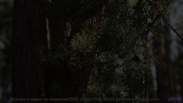 Дорога, звёзды и музыка, которая сводит вас с ума! - Track 10 -- Berbere Superstar -- The Best Thing