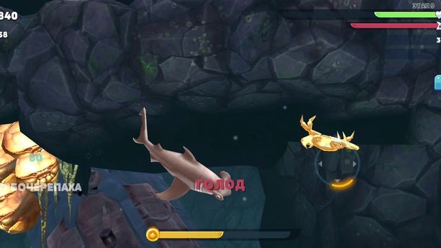 Hungry Shark Evolution. акула
