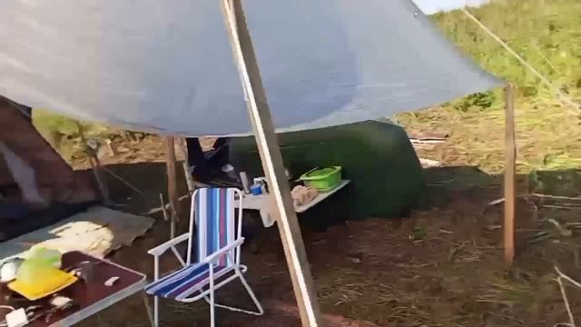 Мативатор