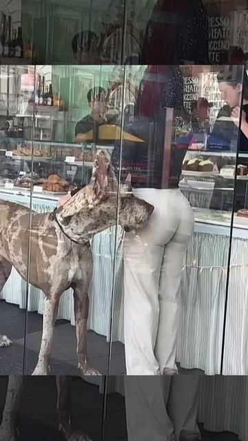 Серьезный охранник!