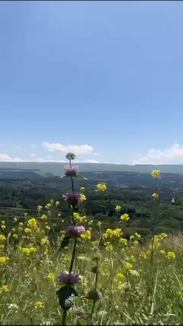 🏔️…..горы