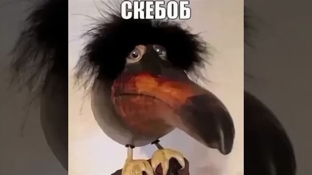 скебоб эдит
