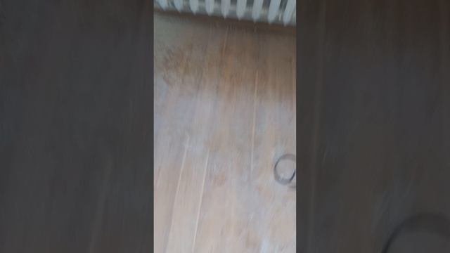 День КЗ.
