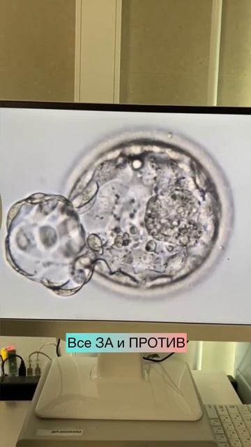 Естественный или вспомогательный хэтчинг эмбриона