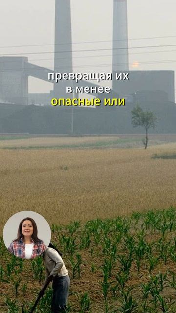 А вы знали про эти чудо растения?