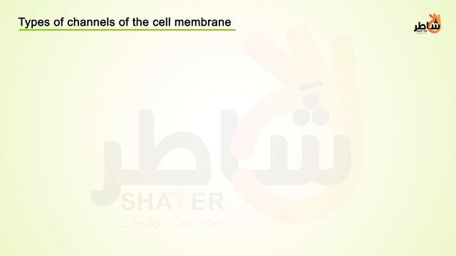 Action potential_eng (1080p with 25fps)