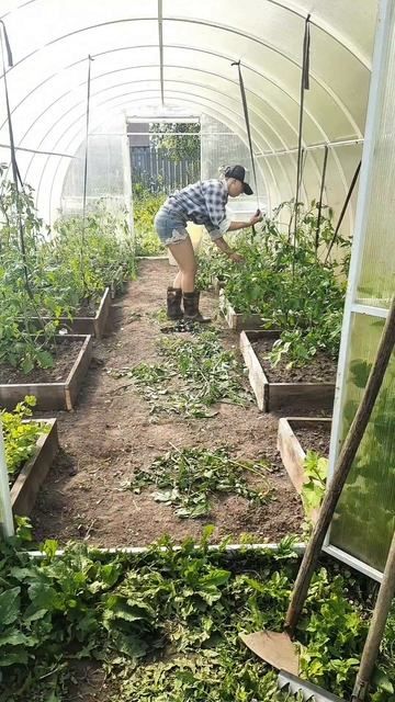 Это всё?.. Старость?🤣 #жизньвсвоемдоме #изгородавдеревню #огород #юмор #xenahough