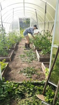 Это всё?.. Старость?🤣 #жизньвсвоемдоме #изгородавдеревню #огород #юмор #xenahough