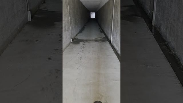 Вело трип 2.mp4
