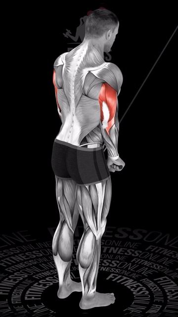 Разгибание рук в блоке