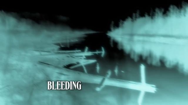 Bleeding Hearts