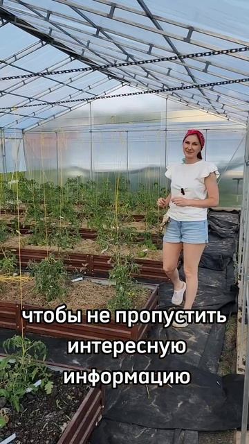 Не спешите с пасынками!