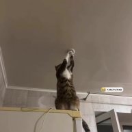 Электрик года😁