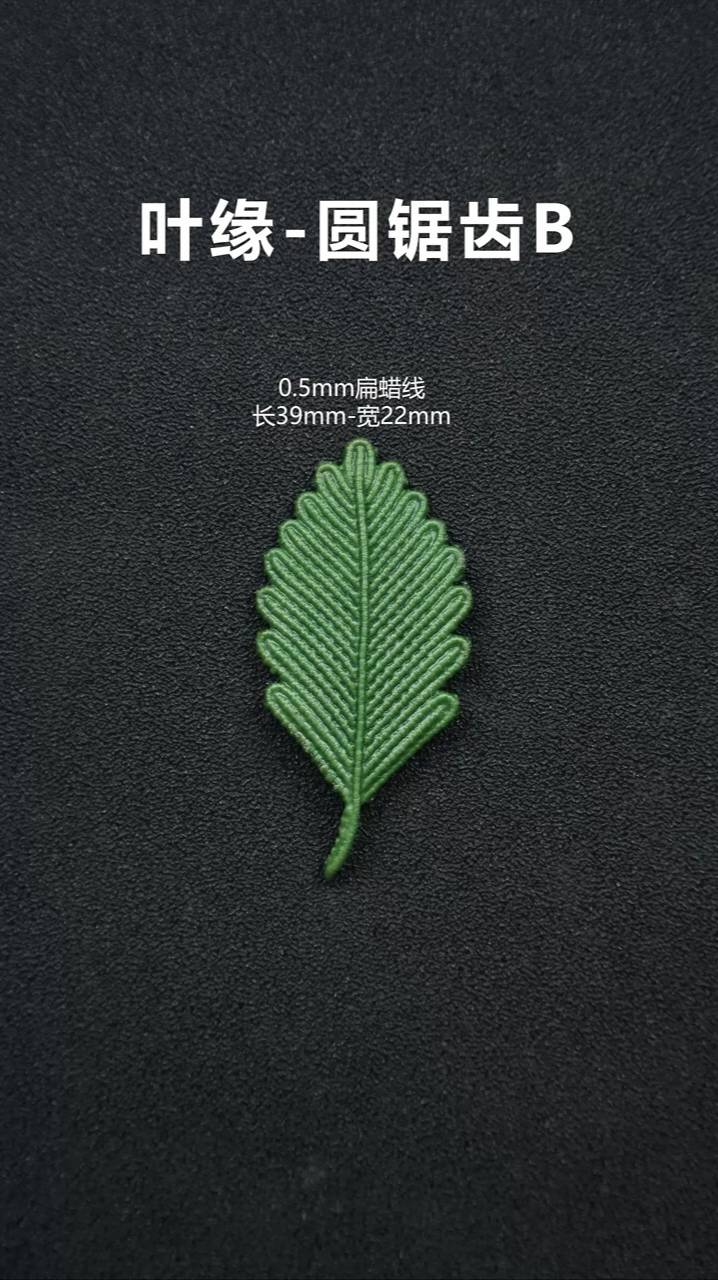 叶缘圆锯齿B,植物编绳,花花草草
