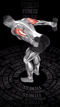 Разгибание рук в наклоне или Лыжник