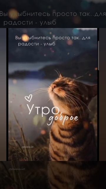Доброе утро #доброеутро #благодарность