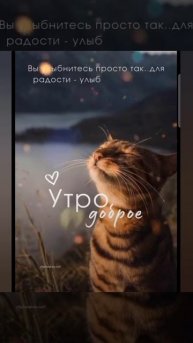 Доброе утро #доброеутро #благодарность