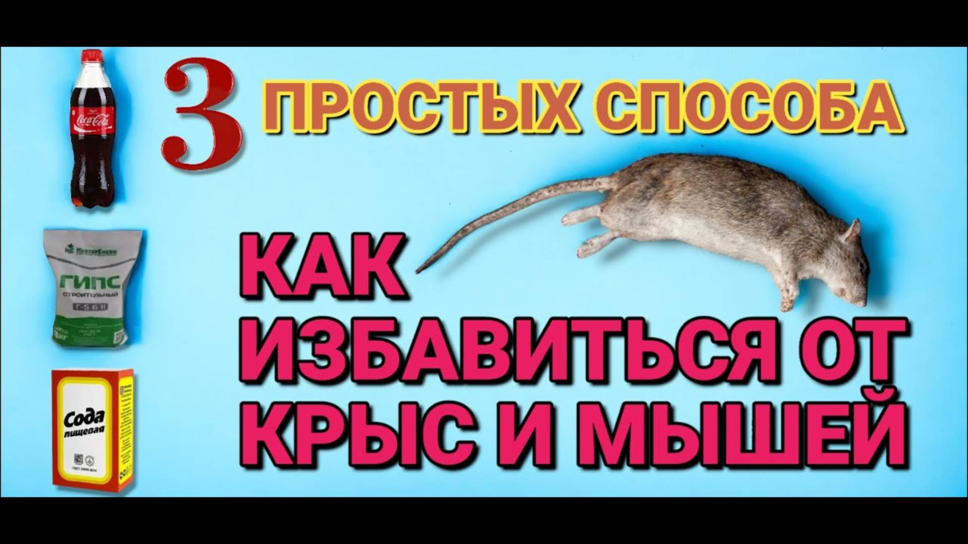 КАК БЫСТРО избавиться от КРЫС и МЫШЕЙ . 3 простых но эффективных способа избавиться от грызунов
