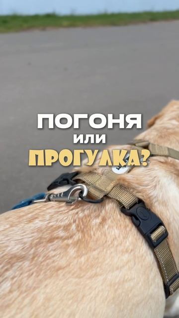 ДЕЙСТВЕННЫЙ ЛАЙФХАК ✔️
