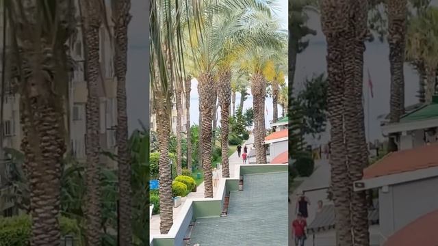 Отель Crystal Aura Beach Resort & Spa (Ex. Alatimya Village) 5*, май 2025