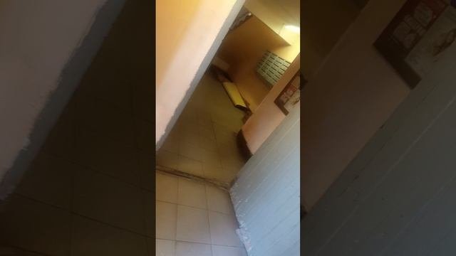 1000228974.mp4