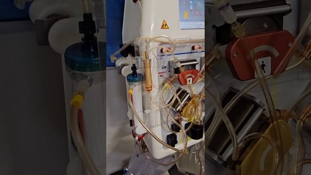 Часть 2. Установка магистралей в аппарат HF440, Infomed; 
Заполнение, процедура, завершение.