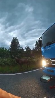 Берегите себя.