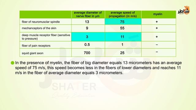 Nerve impulse and action potential-eng (1080p with 25fps)