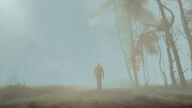 Туманная сцена: VFX атмосфера