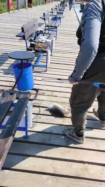 1000034100.mp4
