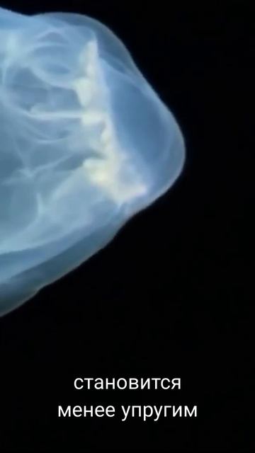 VIDEO_20250707_055316