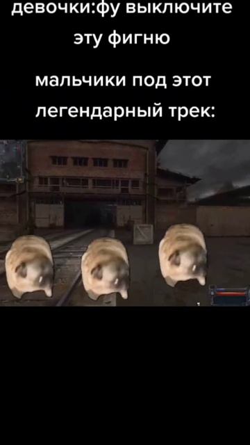 СТАЛКЕР ☢️