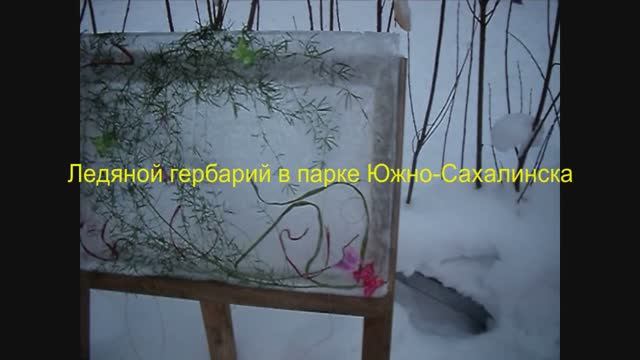 Новый проект (3)вернисаж в парке