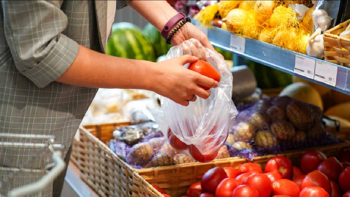 Россияне могут столкнуться с ростом цен на овощи из-за нехватки семян