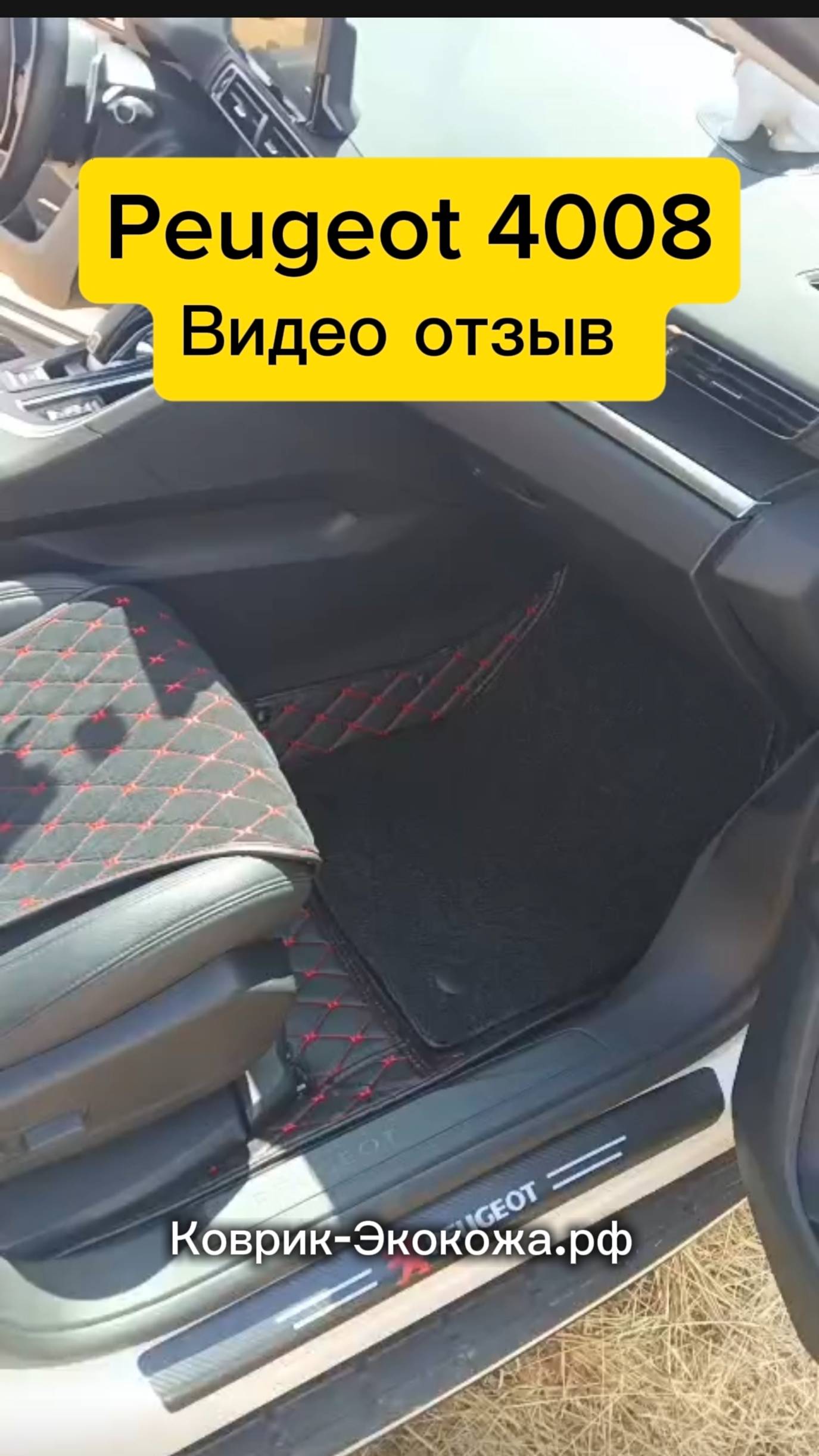Peugeot 4008 3D коврики из ЭкоКожи видео отзыв