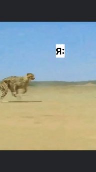 У кого такие же гонки?