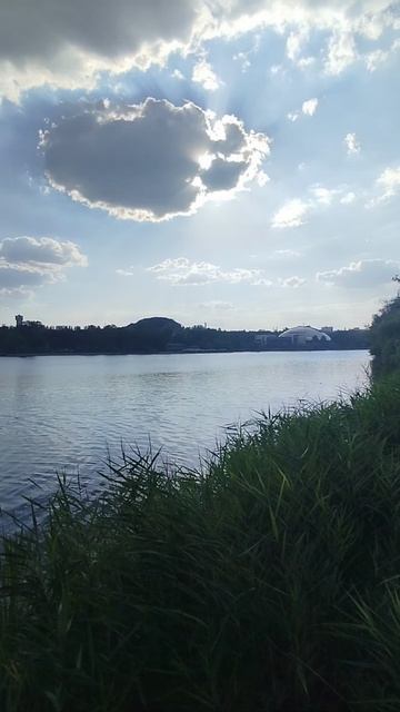 Обстановка на берегу парка Щербакова