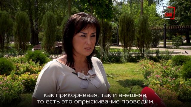 В Туле ухаживают за клумбами и зелеными зонами
