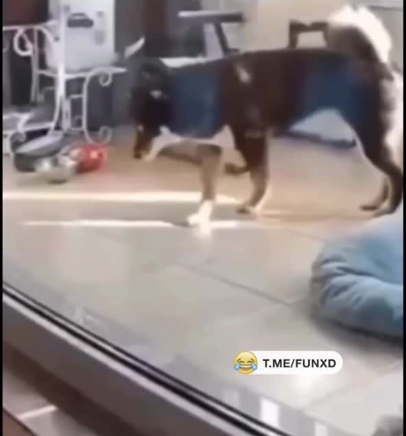 Доброе утро!😅