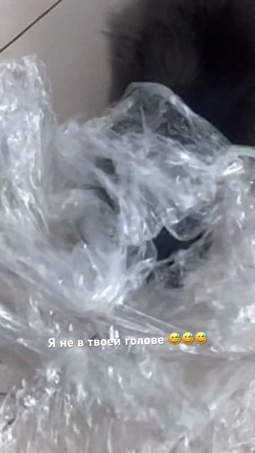 😅😅😅