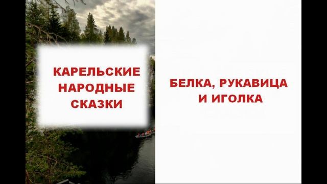 БЕЛКА, РУКАВИЦА И ИГОЛКА