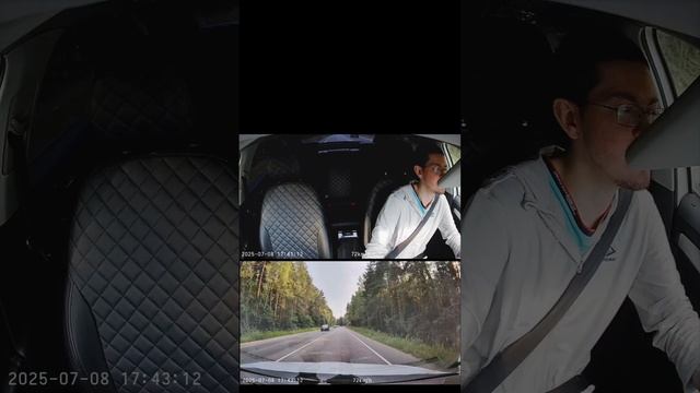 перевозка животных в такси, обкашливаем вопросик