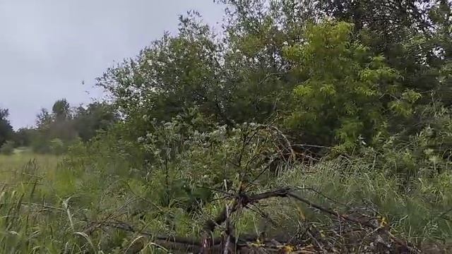 Торги на земельный участок с КН 50:04:0070103:1527