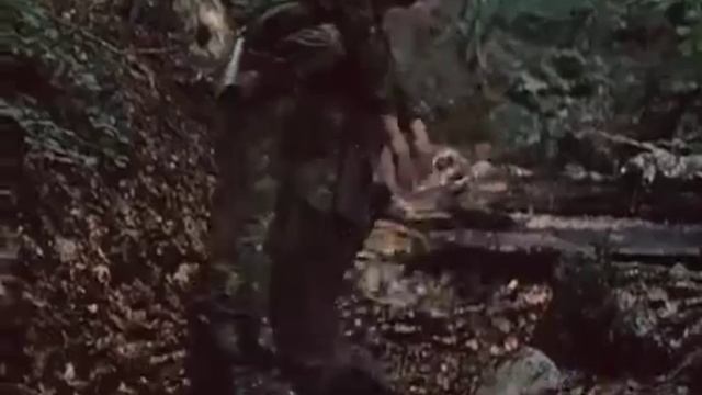 Вадим Z - Казак на войне.