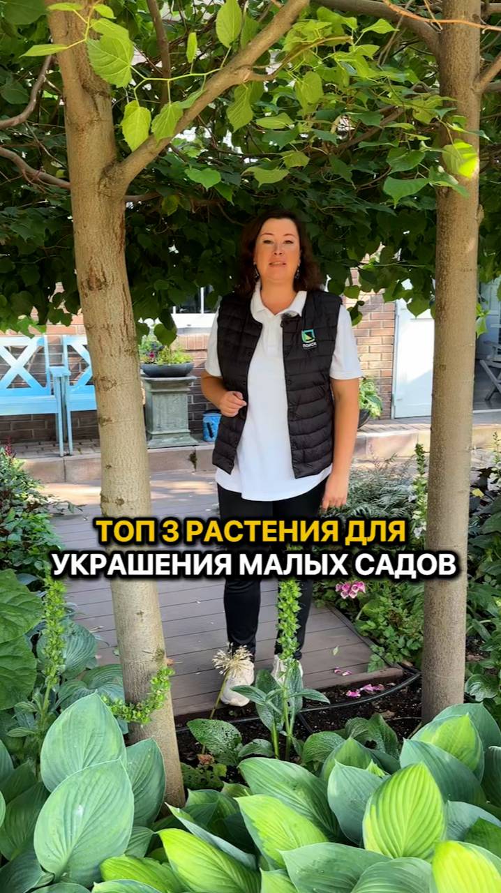 ТОП-3 растения для украшения малых садов!