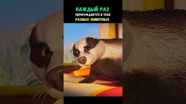 1000089850.mp4