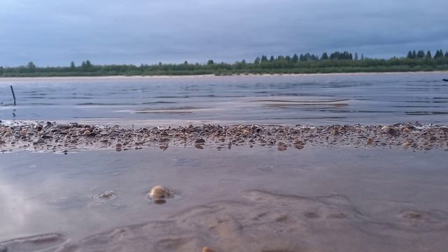Вечерняя река . Плеск воды . Расслабляющие звуки природы для сна и медитации .