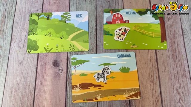 339400 Игра магнитная Кто где живет с 3лет